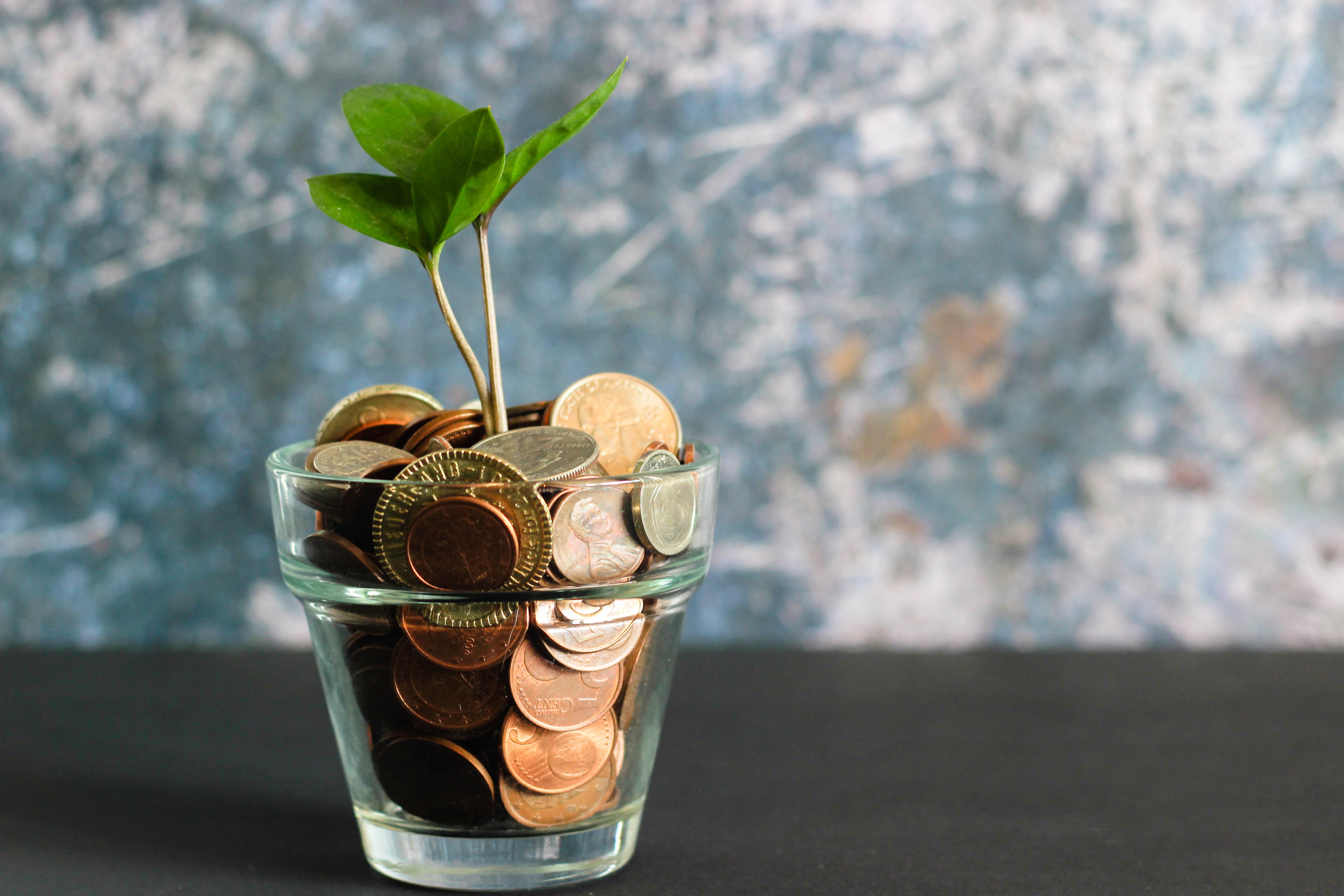 pot of coins with plant growing out of centre